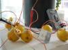 Pre-install. Lemons hooked up to multimeter to demonstrate varying voltages.
   Other fruits work too; watermelon, orange, plums, etc.
