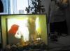 Video still of women teaching a young crane chick to eat from surrogate mother
     hand puppet.